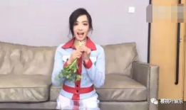 香菜直播回放91,91精彩瞬间回顾